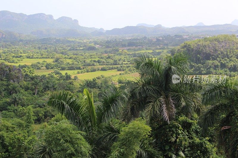 Cuba - Viñales Valley - landscape